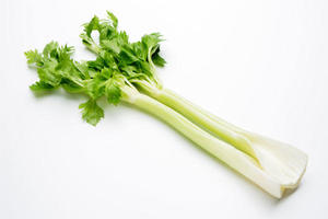 celery.jpg