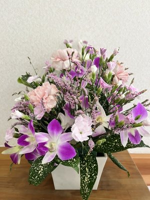 S__1302537.jpg