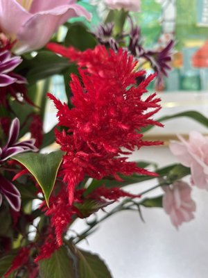 S__2605061.jpg