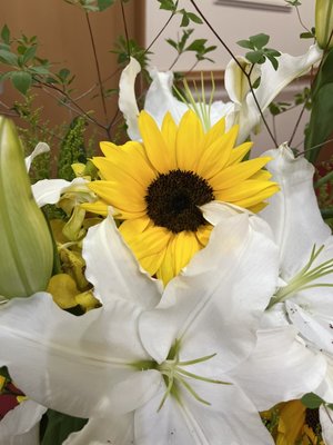 S__2605068.jpg