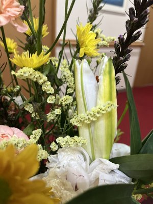S__2670596.jpg