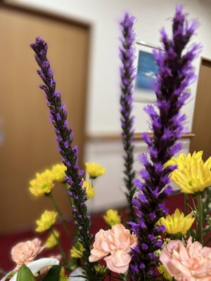 S__2670598.jpg