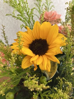 S__2670601.jpg