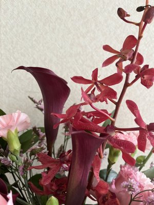 S__2711562.jpg