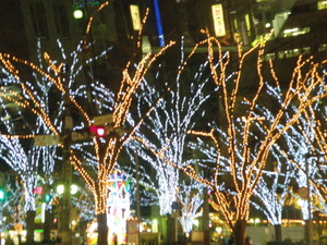 Photo_7