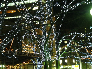 Photo_8