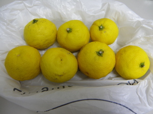 Photo_9